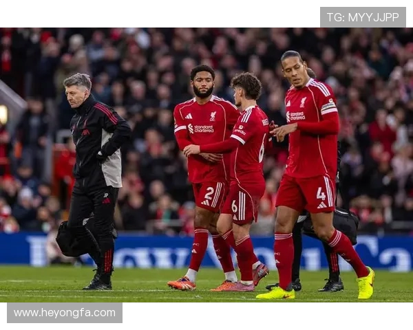 2018年布莱顿对阵利物浦比赛推荐及精彩分析